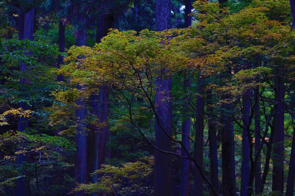 Nikko Pension L'escale Esterno foto