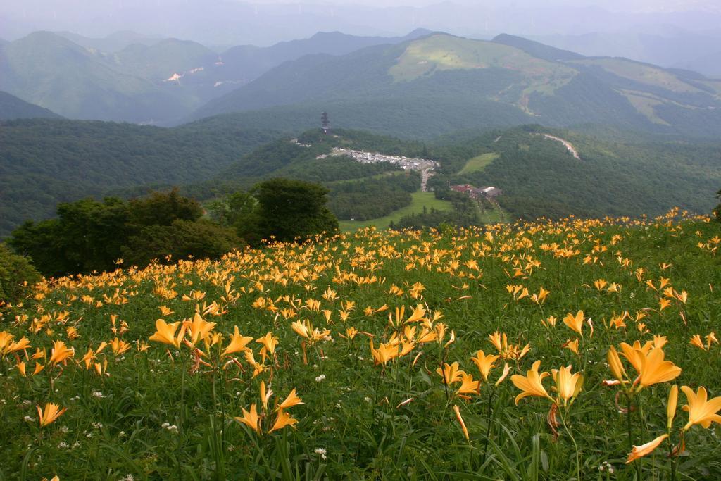 Nikko Pension L'escale Esterno foto